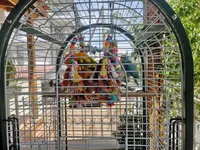 IMG_20190601_142546.webp