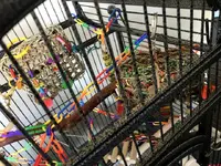 Cage Setup1.webp