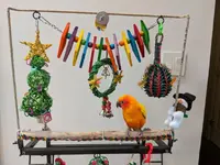 MVIMG_20171218_142648.webp