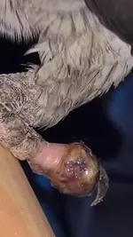 WP_20190605_06_43_41_Pro (2).webp