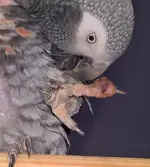 WP_20190605_06_27_12_Pro (2).webp