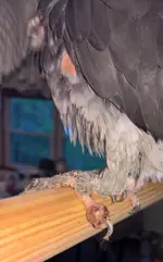 WP_20190605_06_12_58_Pro (2).webp