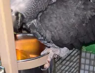 WP_20190501_13_20_19_Pro (2).webp