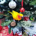 IMG_20171212_092820_172.webp