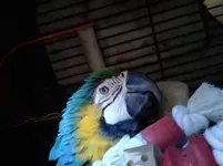 20161210_141410.webp