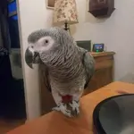 DSC_0002_1 (2).webp DSC_0002_1 (2).webp