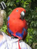IMG_0687 - Copy.webp