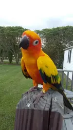 20170616_170603.webp