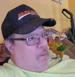TRYING to watch T.V..webp