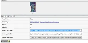 Capturea.webp