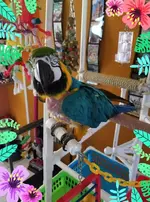 2019-07-04.webp 2019-07-04.webp