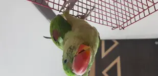 20190716_082010.webp