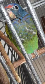 IMG-20190718-WA0005.webp