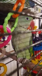 20180211_183859.webp