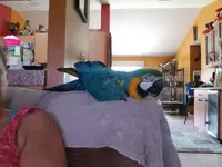 20190727_153141.webp