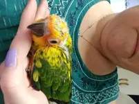 20180224_134504.webp