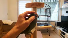 20190814_203506.webp