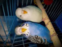 20180312_183302.webp 20180312_183302.webp