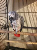 Itsy-08-17-19.webp