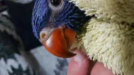 20180319_202915.webp
