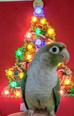 20201219_091856.webp