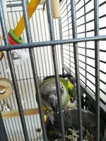 2018-07-09 15.27.11_small.webp