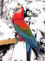 0321181644b (3).webp