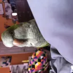 Obez1muqQb+xMbIk3i1ihg.webp