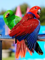 58043_10200379231816103_1058988307_n.webp