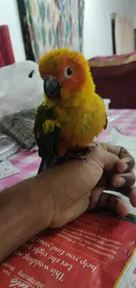 zz4a1m.webp