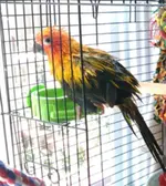 IMG_20190908_133556.webp