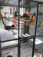 IMG_20190915_090723.webp