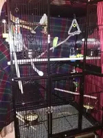 IMG_20190915_203820.webp