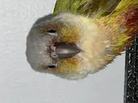 90C7F0F4-F296-498B-88F4-98E19AC09756.webp