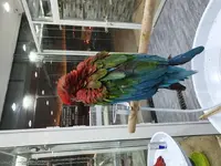 20190925_192858.webp 20190925_192858.webp