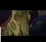 rsz_71203580_2778810565487157_9027887175902953472_n_1.webp rsz_71203580_2778810565487157_9027887175902953472_n_1.webp