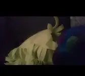 rsz_71512396_2778810638820483_7459953323764875264_n (1).webp