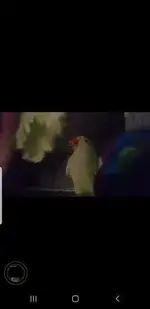 rsz_71085971_2778810865487127_4541449108270874624_n.webp rsz_71085971_2778810865487127_4541449108270874624_n.webp