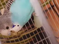 20180424_180415.webp