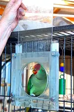 Gate open with Barney.webp