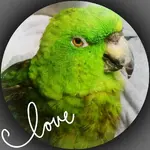 2018-05-06_22.09.31.webp