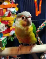 20191015_112324.webp