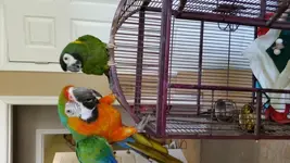 20170611_110354.webp