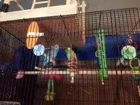 20191020_100600.webp