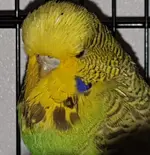 20191024_073620.webp