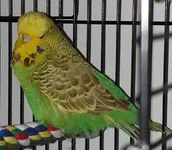 20191024_073742.webp