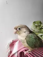 IMG-20191021-WA0013.webp