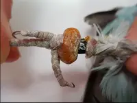 Screen Shot 2019-10-24 at 10.58.16 AM.webp