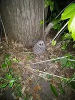 0520180021a.webp