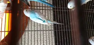 20191027_140925.webp